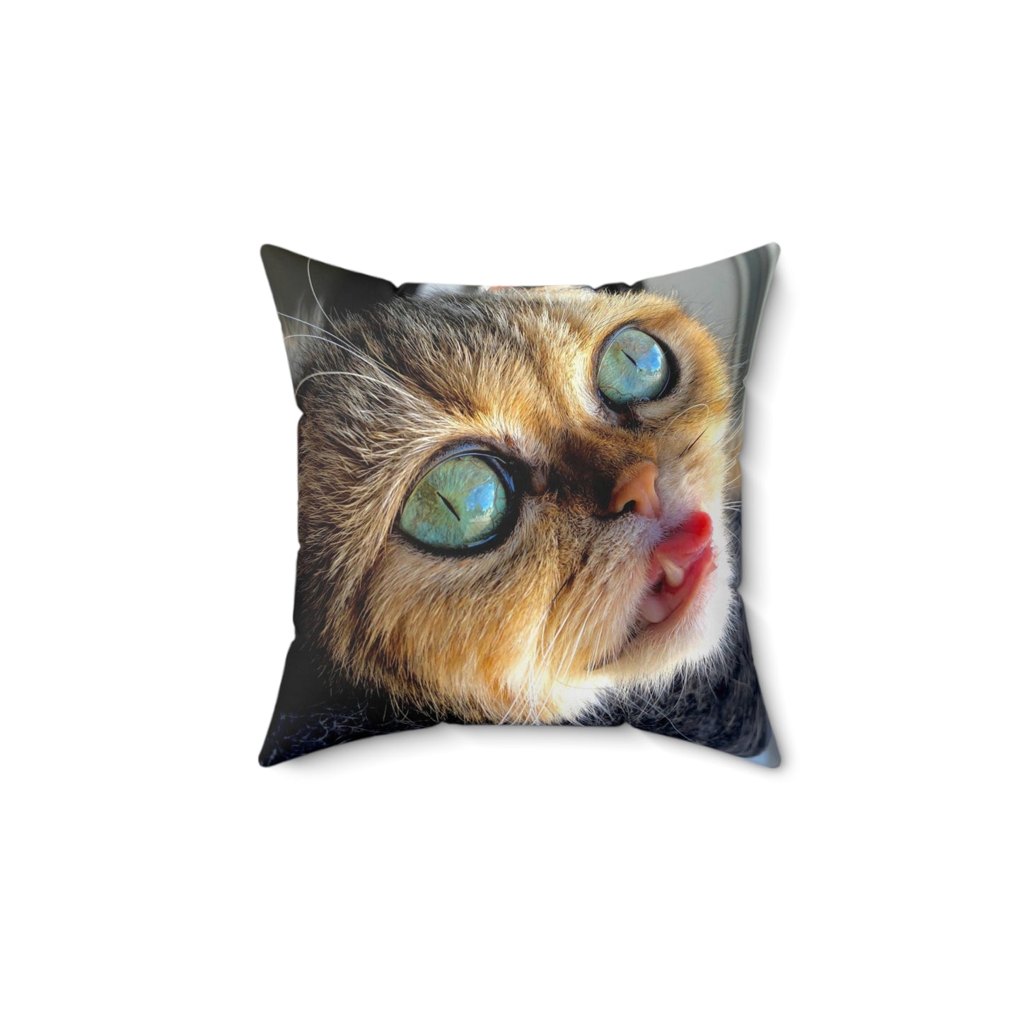 Crispy Cat Faux Suede Square Pillow