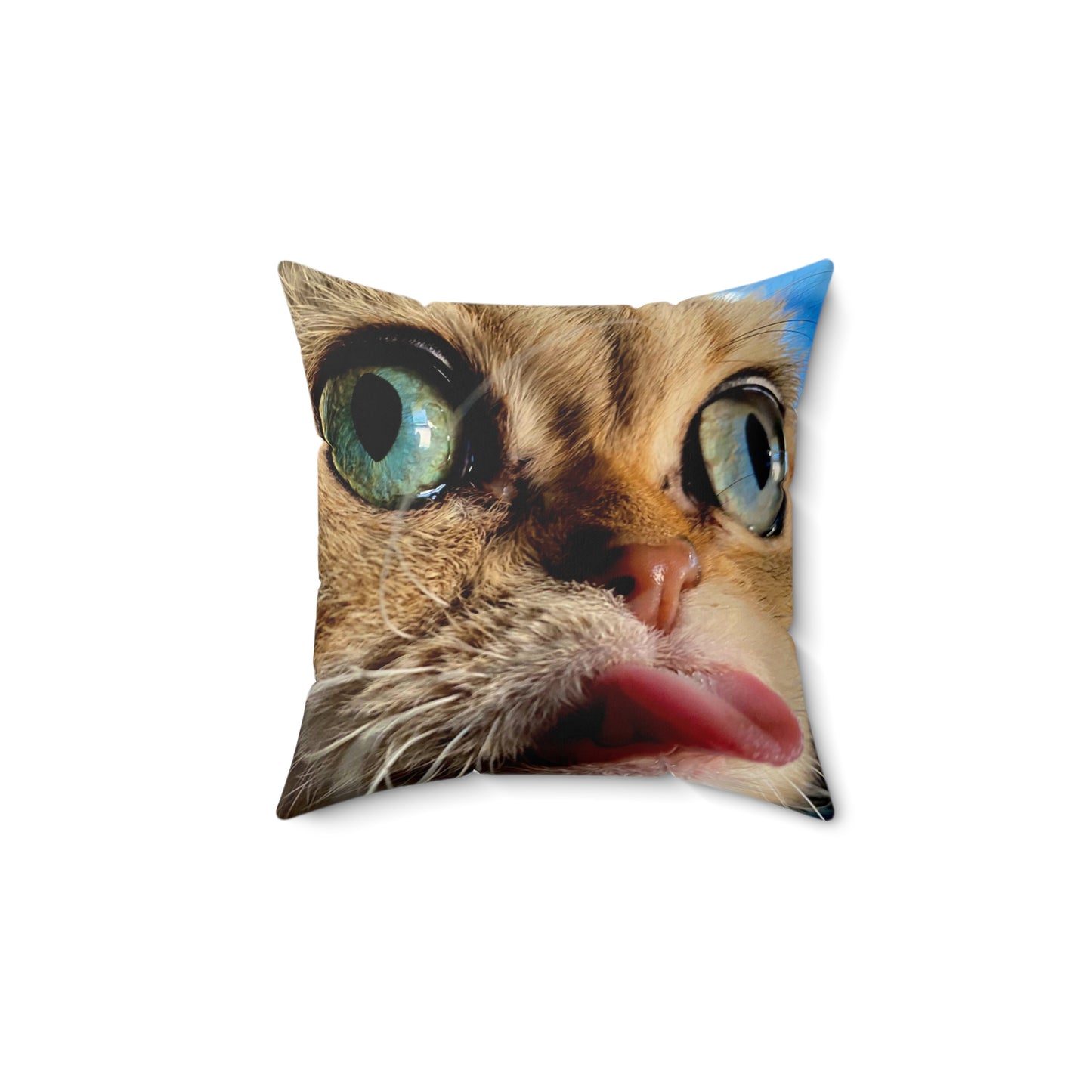 Crispy Cat Faux Suede Square Pillow