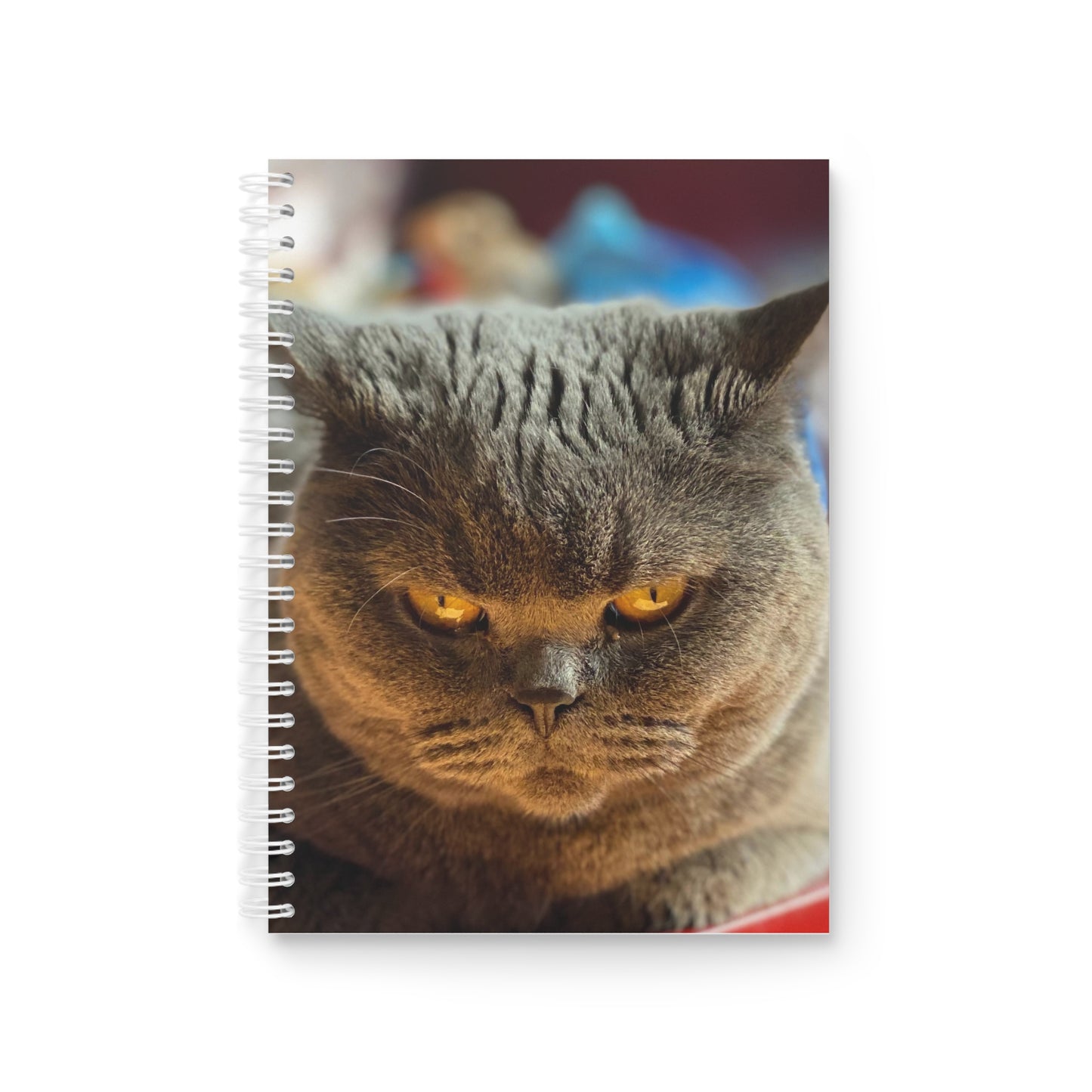 Copper Cat Spiral Notebook