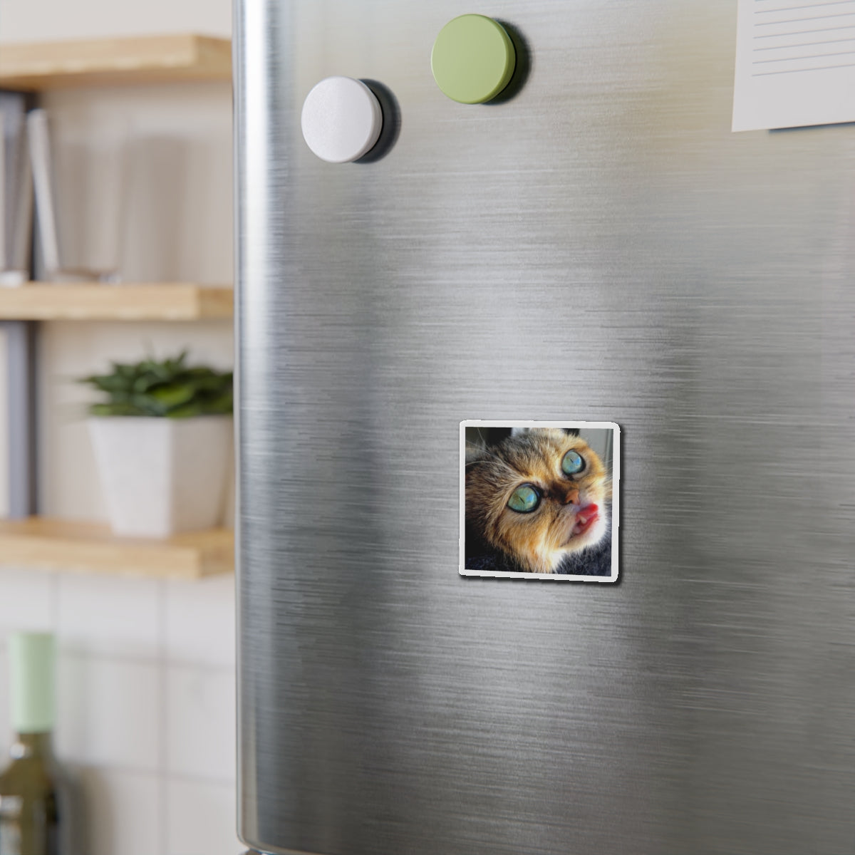 Crispy Cat Die-Cut Magnets