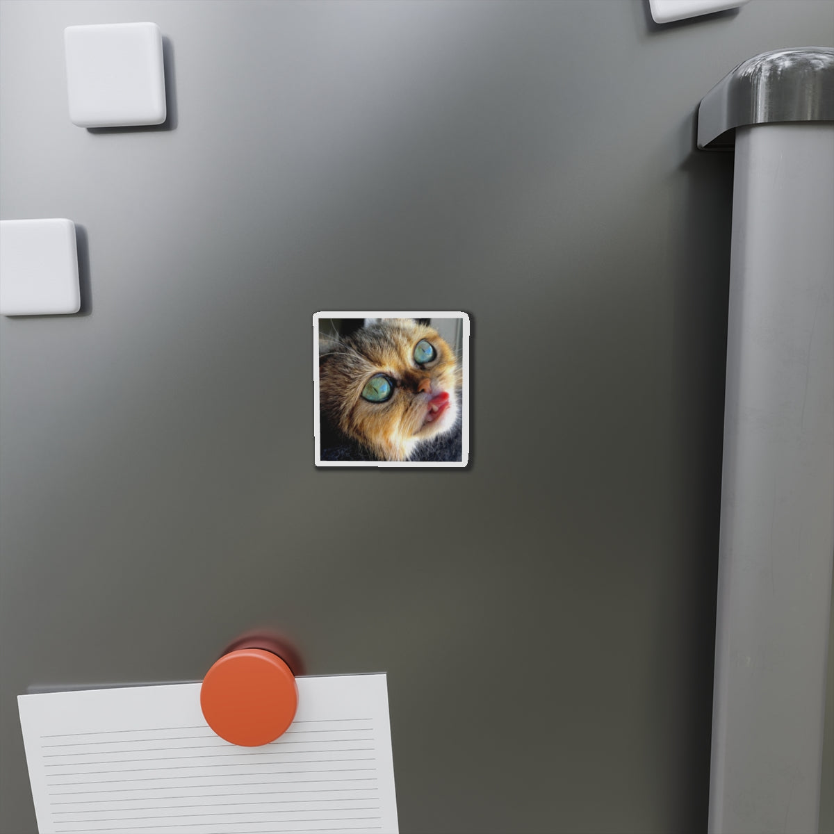 Crispy Cat Die-Cut Magnets